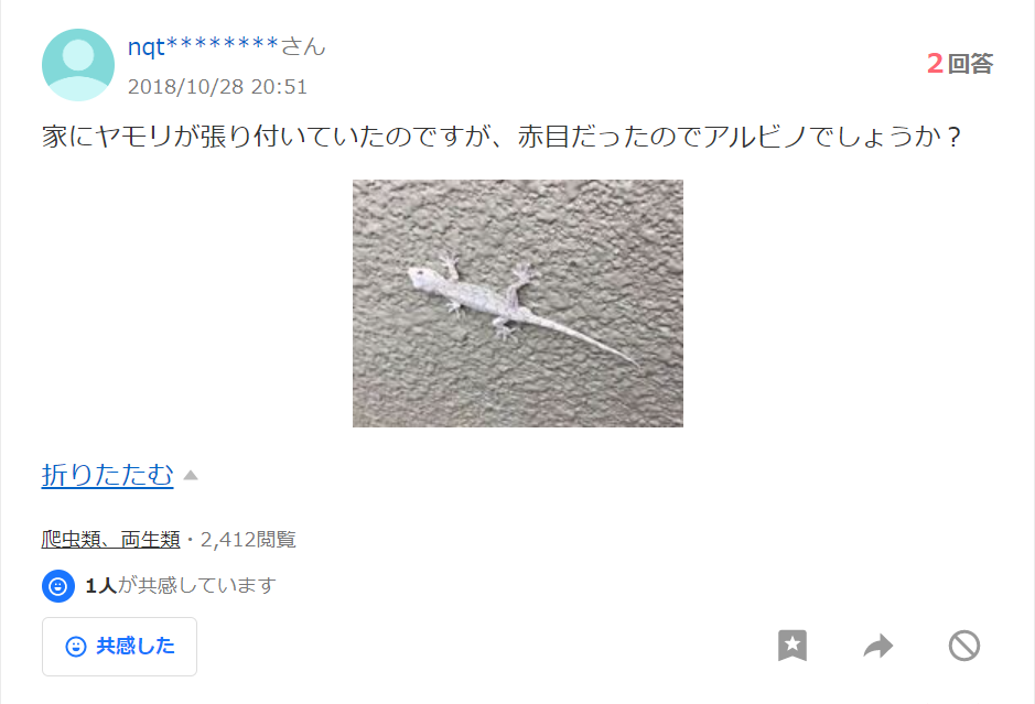 トカゲ の 夢 宝くじは?ヤフー知恵袋