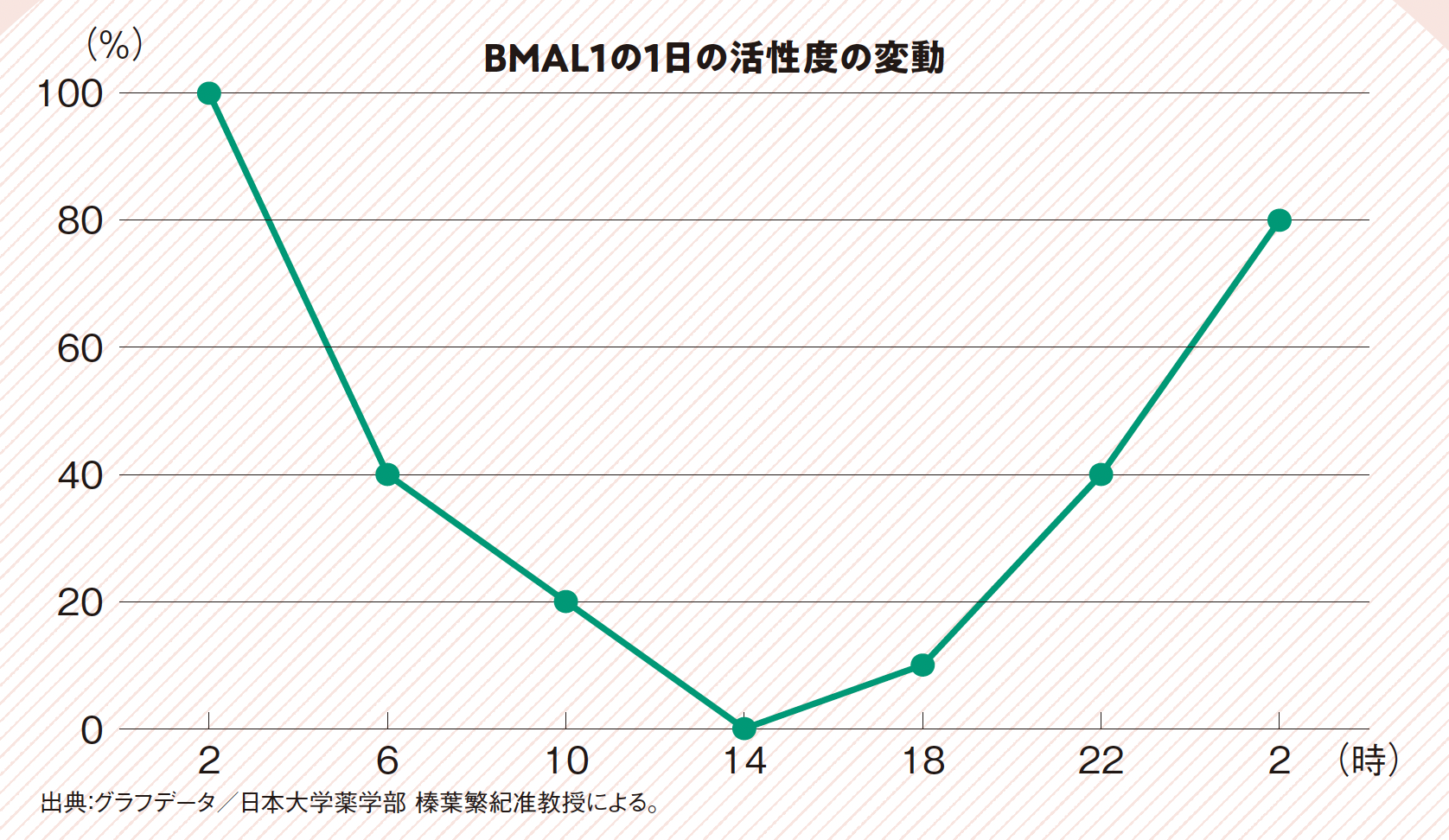 BMAL1の活性度の変動